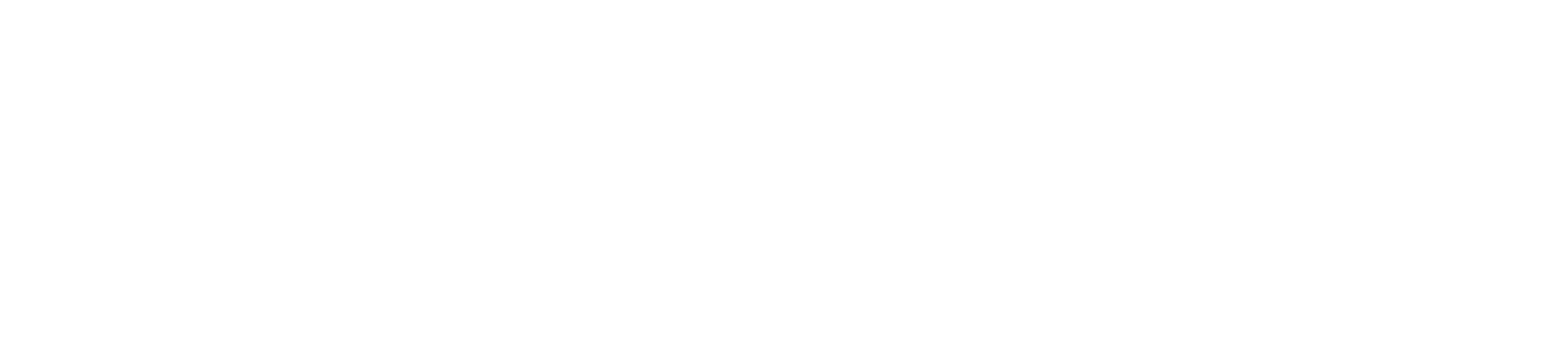 STRYDE